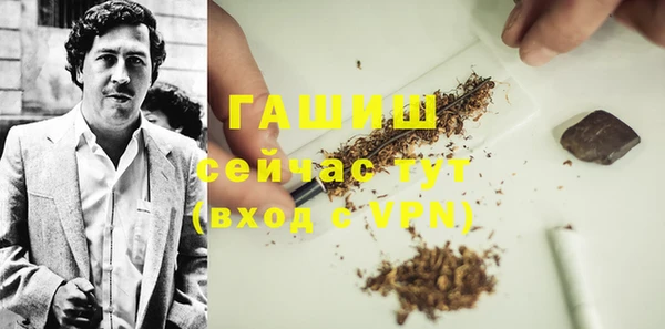 ГАЛЛЮЦИНОГЕННЫЕ ГРИБЫ Дмитриев