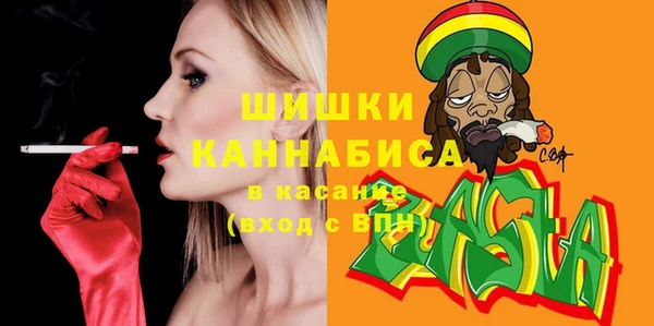 ГАЛЛЮЦИНОГЕННЫЕ ГРИБЫ Дмитриев