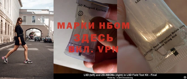 ГАЛЛЮЦИНОГЕННЫЕ ГРИБЫ Дмитриев