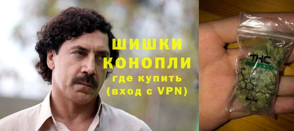 ГАЛЛЮЦИНОГЕННЫЕ ГРИБЫ Дмитриев