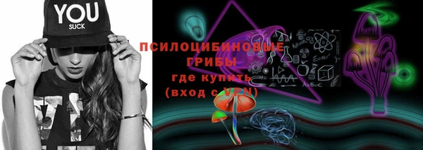 ГАЛЛЮЦИНОГЕННЫЕ ГРИБЫ Дмитриев
