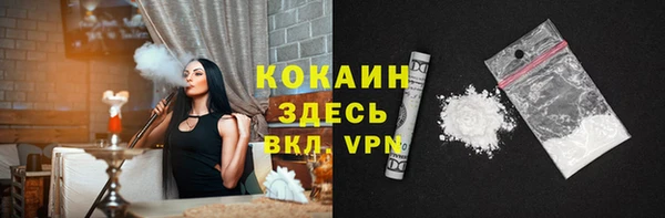 ГАЛЛЮЦИНОГЕННЫЕ ГРИБЫ Дмитриев