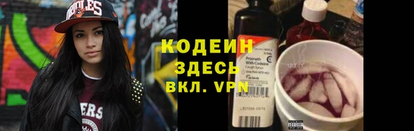 ГАЛЛЮЦИНОГЕННЫЕ ГРИБЫ Дмитриев