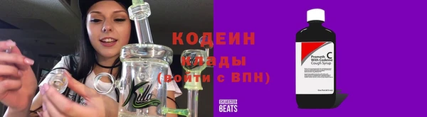 ГАЛЛЮЦИНОГЕННЫЕ ГРИБЫ Дмитриев