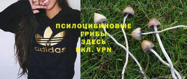 дживик Дмитров