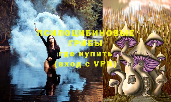 дживик Дмитров