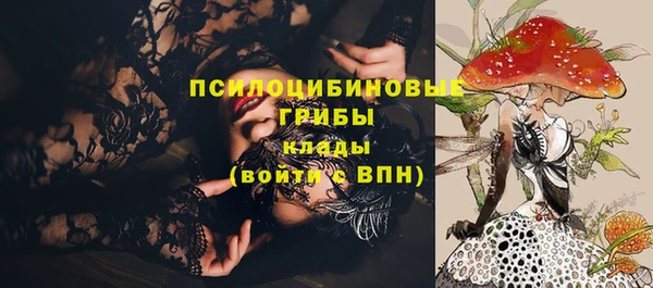 дживик Дмитров