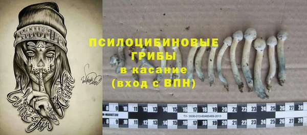ГАЛЛЮЦИНОГЕННЫЕ ГРИБЫ Дмитриев