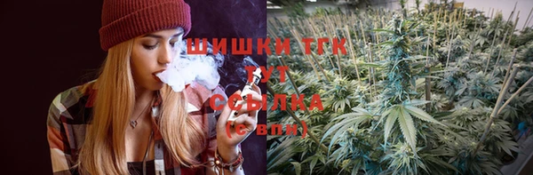 ГАЛЛЮЦИНОГЕННЫЕ ГРИБЫ Дмитриев