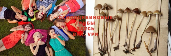 мефедрон мука Дмитровск