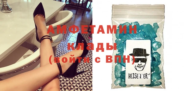 ГАЛЛЮЦИНОГЕННЫЕ ГРИБЫ Дмитриев
