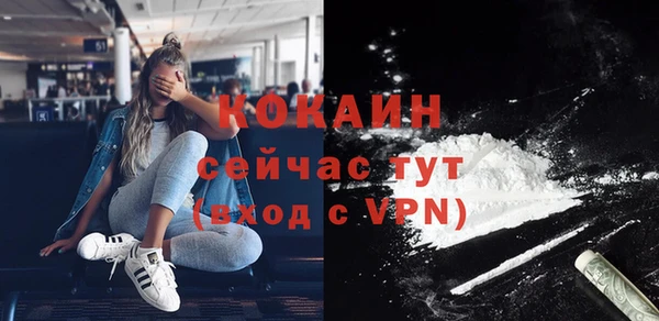 дживик Дмитров