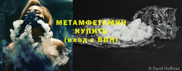 ГАЛЛЮЦИНОГЕННЫЕ ГРИБЫ Дмитриев