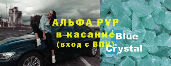 ГАЛЛЮЦИНОГЕННЫЕ ГРИБЫ Дмитриев