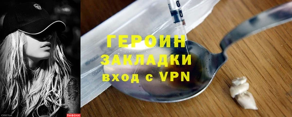 ГАЛЛЮЦИНОГЕННЫЕ ГРИБЫ Дмитриев